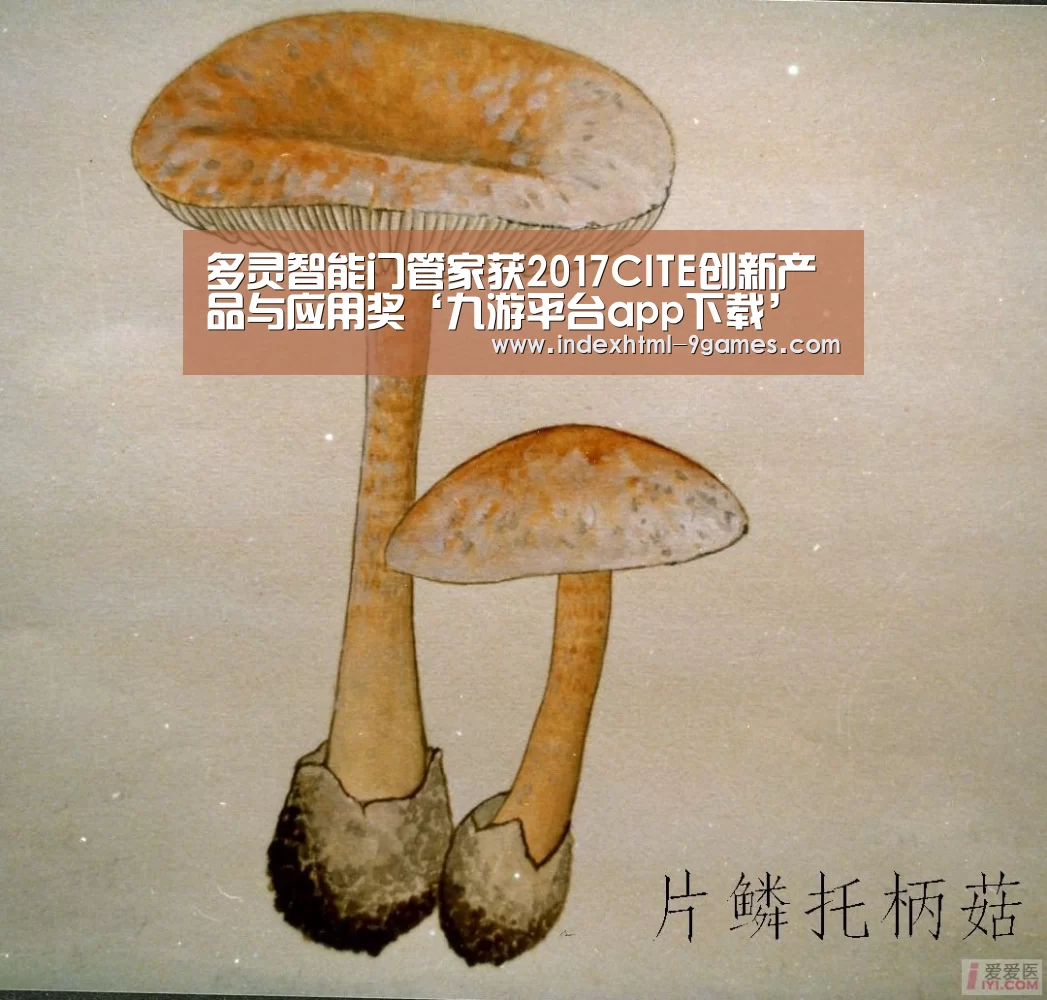 多灵智能门管家获2017CITE创新产品与应用奖‘九游平台app下载’(图3) 九游体育官网
