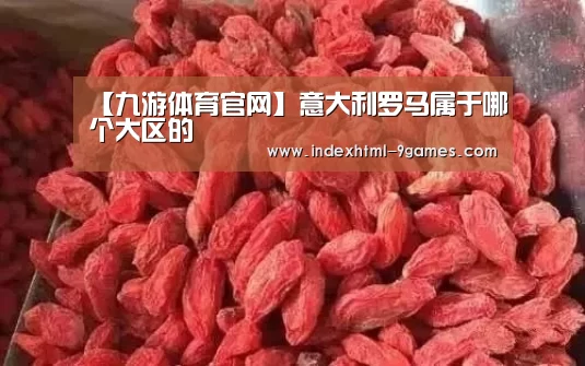 【九游体育官网】意大利罗马属于哪个大区的(图4) 九游官网入口地址