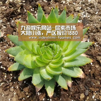 九游娱乐网站-尿素市场大稳小涨，产区报价1880-1920元/吨！（附肥价）