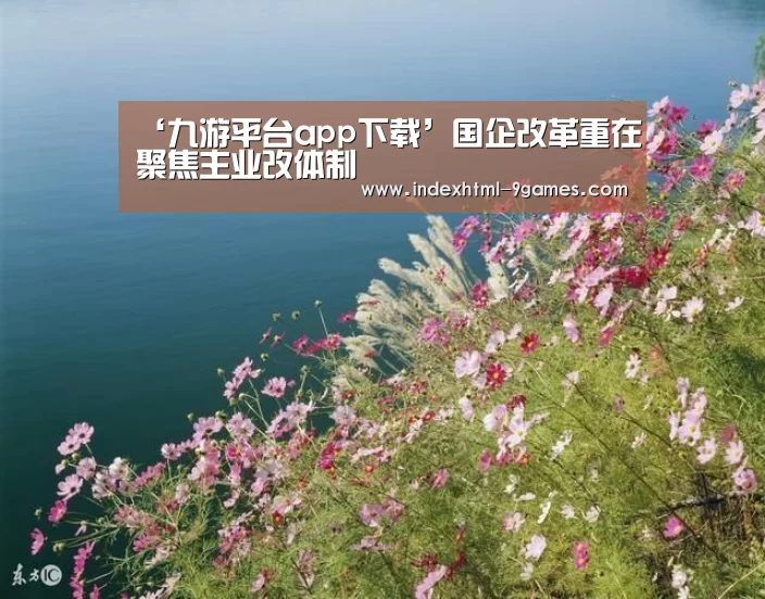 ‘九游平台app下载’国企改革重在聚焦主业改体制